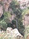 Dsck0169 (78)